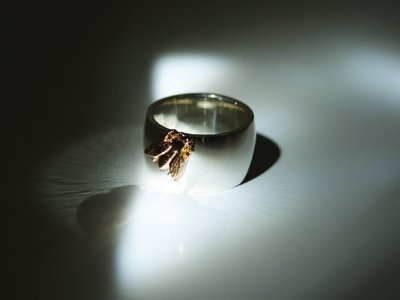 Bild des Schmuckstuecks